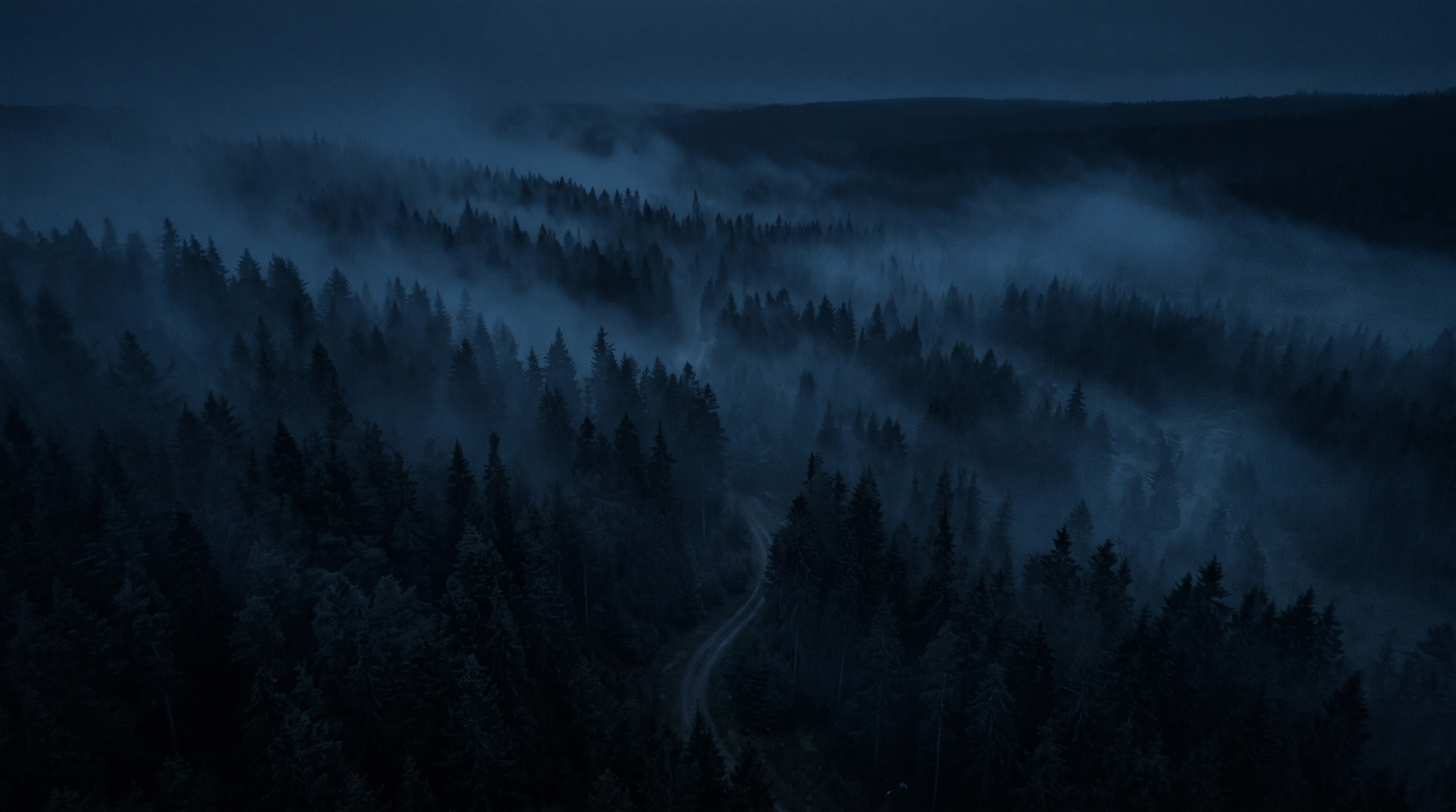 Cinematic film still of dark misty forest at night, high-angle view from above, cool blue tones, quiet atmosphere, 16:9 aspect ratio