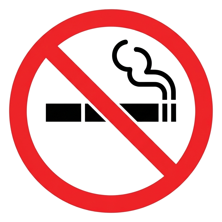 Standard pictogram, solid black figure of a no smoking pictogram with a cigarette inside a red prohibition circle with a slash, transparent background PNG