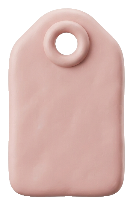 Soft 3D icon, pastel clay render of a price tag icon, transparent background PNG