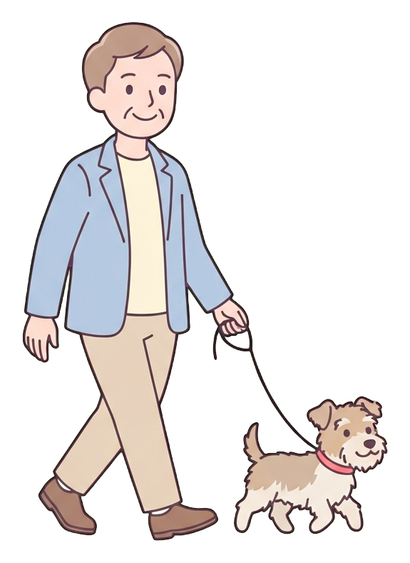 Simple cute flat cartoon illustration with soft pastel colors and thin clean dark outlines of a middle-aged man, person walking a small dog on a leash, transparent background PNG