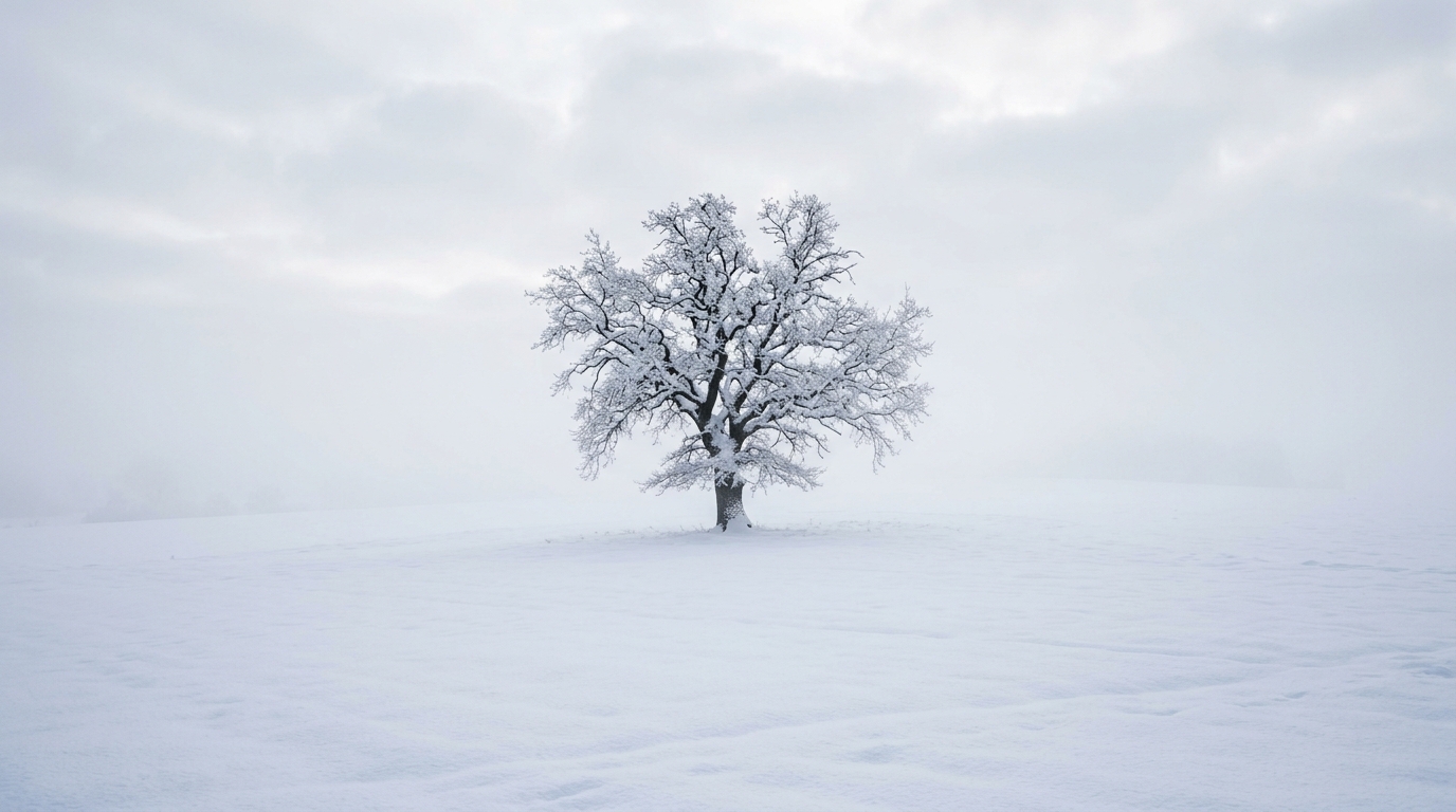 雪白冬景的逼真照片，主體置於中央，構圖簡潔明了，清晨薄霧，夢幻氛圍，16:9比例