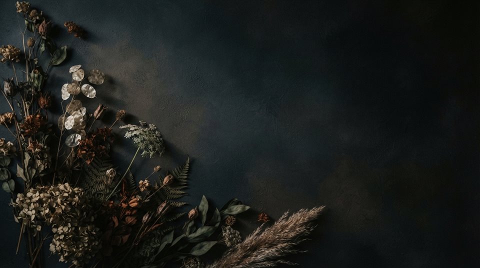 Minimal abstract design of soft aesthetic background with dried flowers at the edge and empty space, simple balanced layout, moody dark tones, dramatic lighting, 16:9 aspect ratio