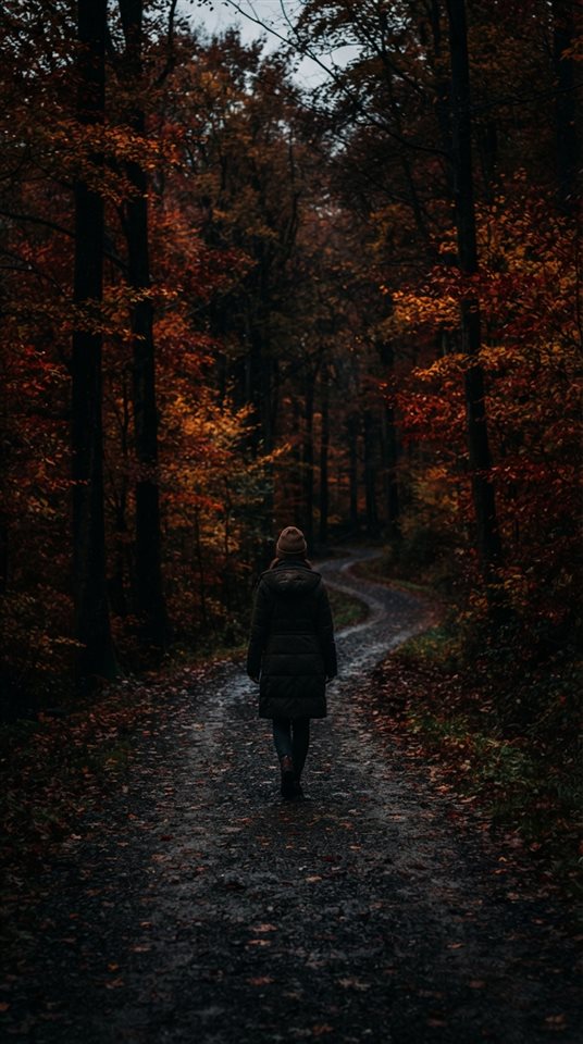 Cinematic film still of autumn trees with red and orange leaves, centered subject with a simple uncluttered composition, moody dark tones, dramatic lighting, 9:16 aspect ratio