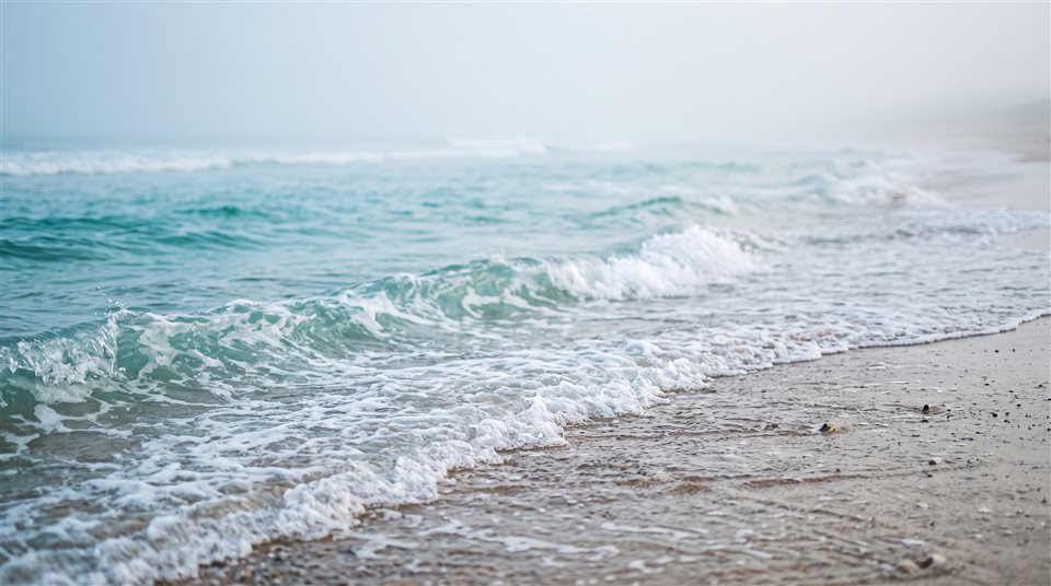 Photorealistic photo of calm turquoise ocean with gentle waves, close-up detail with shallow depth of field, misty morning haze, dreamy, 16:9 aspect ratio