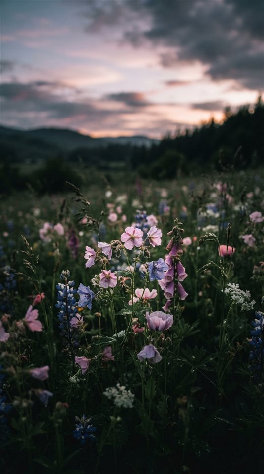 Cinematic film still of pretty soft-colored flower field under a pastel sky, close-up detail with shallow depth of field, moody dark tones, dramatic lighting, 9:16 aspect ratio