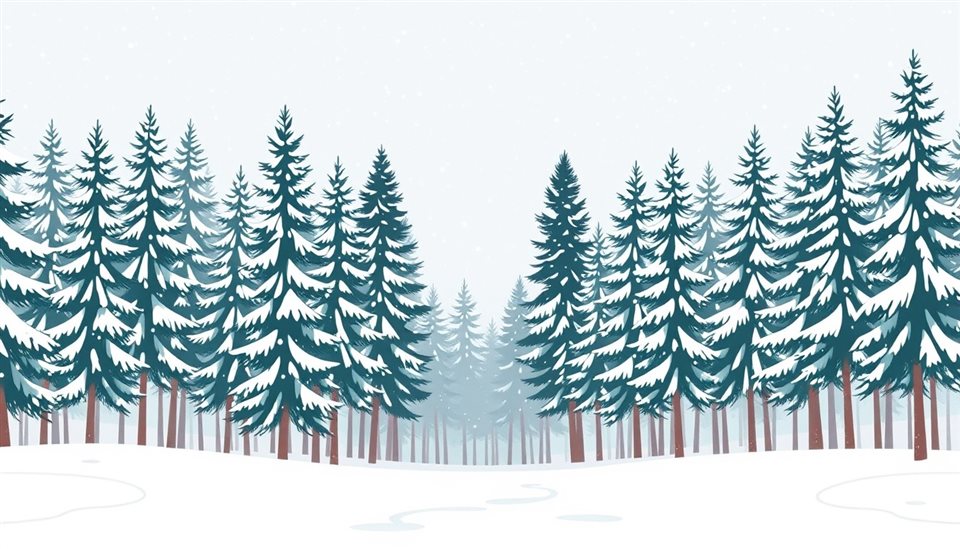 Minimal flat illustration of A quiet pine forest covered in fresh white snow during a gentle snowfall, wide shot with open space at the top for text, soft pastel colors, bright and cozy, 16:9 aspect ratio