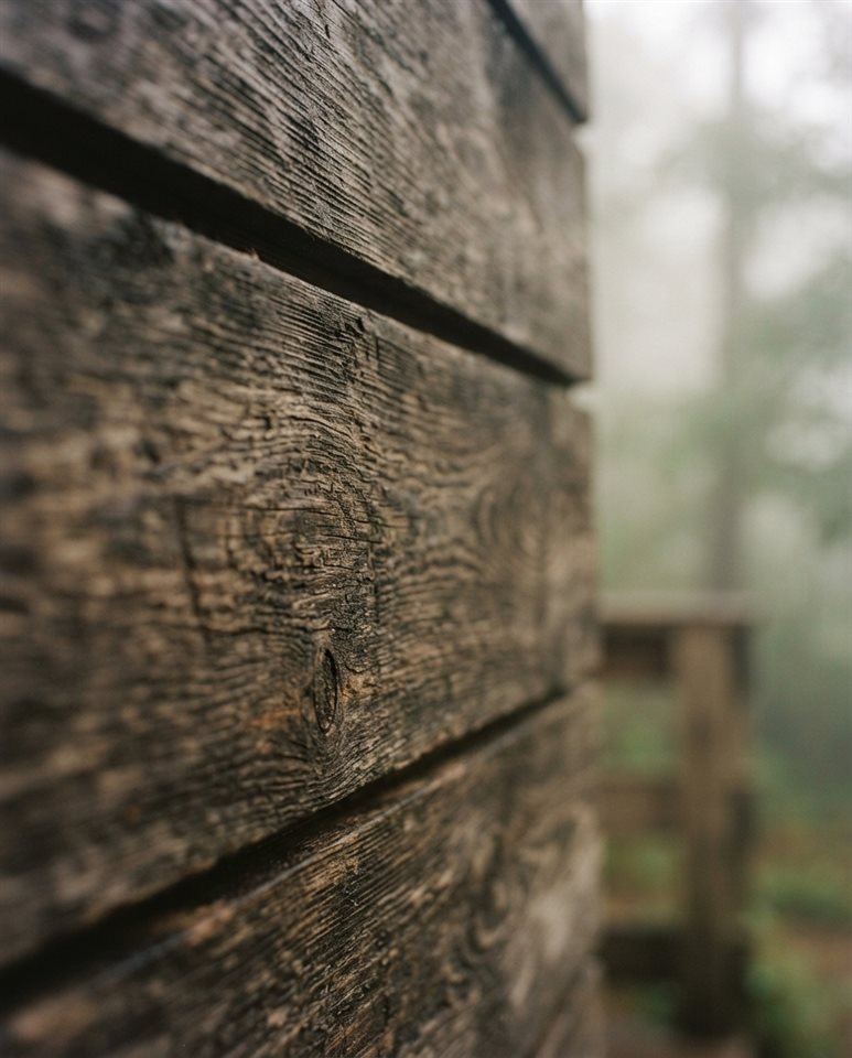 Cinematic film still of wood texture, close-up detail with shallow depth of field, misty morning haze, dreamy, 4:5 aspect ratio