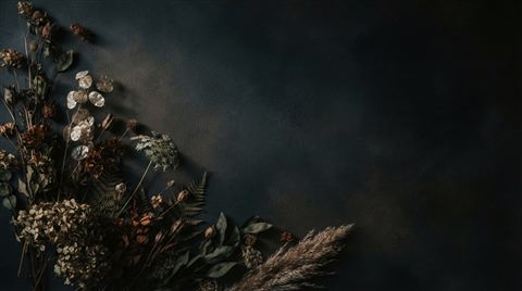 Minimal abstract design of soft aesthetic background with dried flowers at the edge and empty space, simple balanced layout, moody dark tones, dramatic lighting, 16:9 aspect ratio