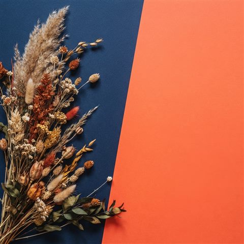 Minimal abstract design of soft aesthetic background with dried flowers at the edge and empty space, simple balanced layout, vivid colors, high contrast, energetic, 1:1 aspect ratio