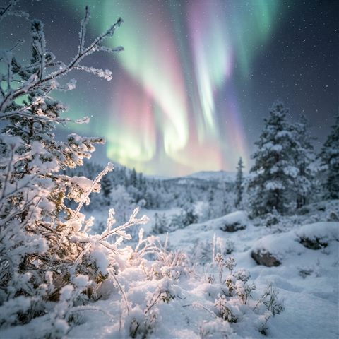 Photorealistic photo of aurora borealis over a snowy landscape, close-up detail with shallow depth of field, soft pastel colors, bright and cozy, 1:1 aspect ratio