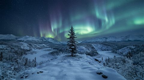 Photorealistic photo of aurora borealis over a snowy landscape, centered subject with a simple uncluttered composition, cool blue tones, quiet atmosphere, 16:9 aspect ratio