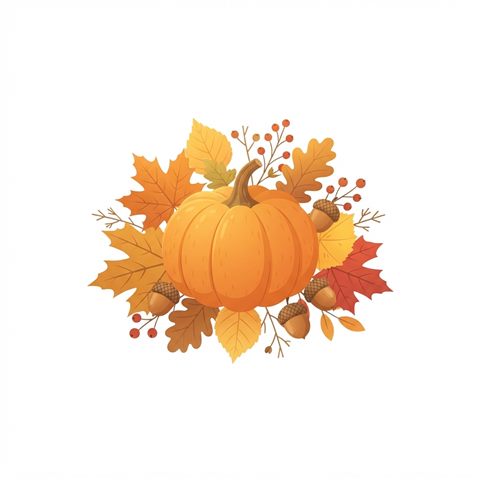 Flat vector illustration on a plain white background of autumn leaves, acorns and pumpkins, isolated single subject, centered, warm golden light, calm mood, 1:1 aspect ratio