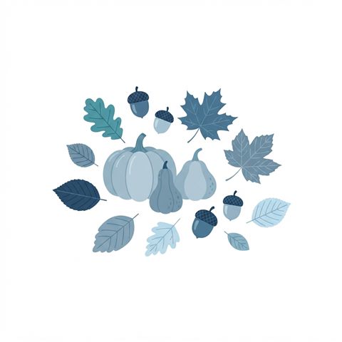 Flat vector illustration on a plain white background of autumn leaves, acorns and pumpkins, small set of several items arranged neatly, cool blue tones, quiet atmosphere, 1:1 aspect ratio