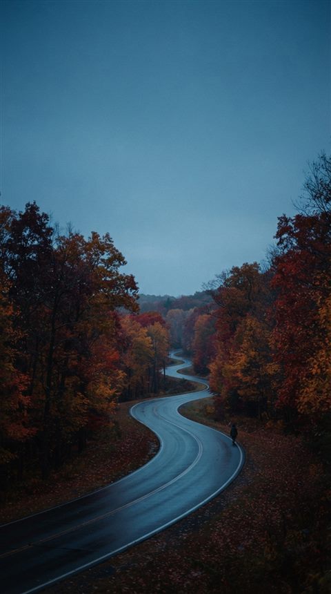 Cinematic film still of autumn trees with red and orange leaves, wide shot with open space at the top for text, cool blue tones, quiet atmosphere, 9:16 aspect ratio