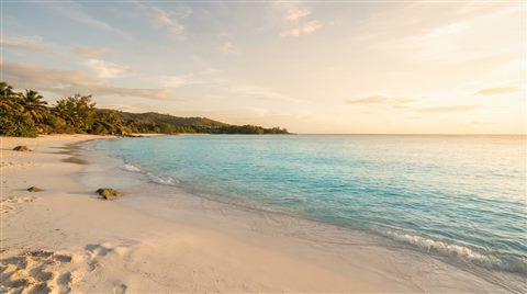 Photorealistic photo of sandy beach with clear turquoise water, wide shot with open space at the top for text, warm golden light, calm mood, 16:9 aspect ratio