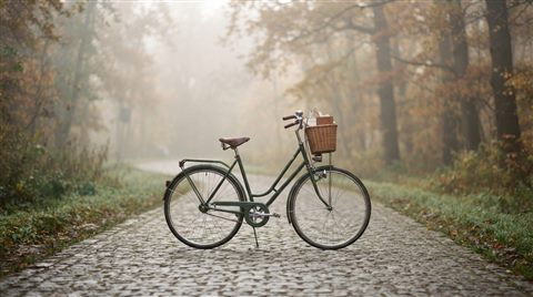 Photorealistic photo of bicycle, centered subject with a simple uncluttered composition, misty morning haze, dreamy, 16:9 aspect ratio