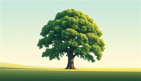 Minimal flat illustration of A massive, lush green giant tree standing alone in the middle of a vast open field, wide shot with open space at the top for text, soft pastel colors, bright and cozy, 16:9 aspect ratio
