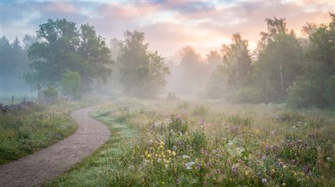 Soft photorealistic background photo of simple colorful background with a large empty area for text, simple balanced layout, misty morning haze, dreamy, 16:9 aspect ratio