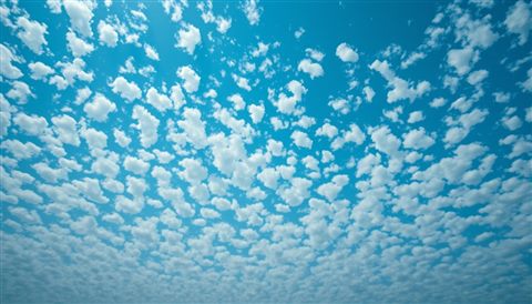 Photorealistic photo of Pattern of small, fluffy white clouds scattered across a bright blue sky like flocks of sheep, wide shot with open space at the top for text, moody dark tones, dramatic lighting, 16:9 aspect ratio