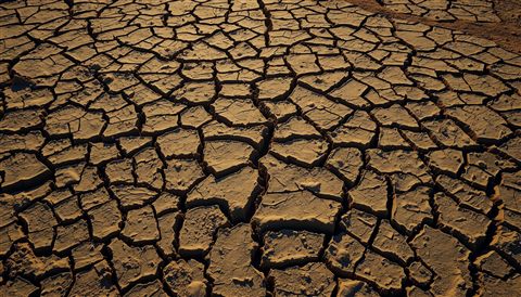 Cinematic film still of Dry, heavily cracked mud ground forming an abstract geometric pattern under bright daylight, centered subject with a simple uncluttered composition, vivid colors, high contrast, energetic, 16:9 aspect ratio