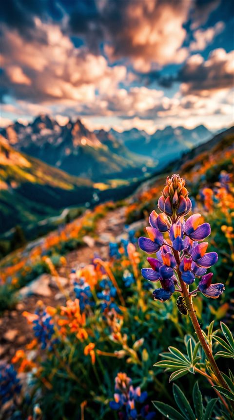 Cinematic film still of breathtaking wide landscape for a computer desktop, close-up detail with shallow depth of field, vivid colors, high contrast, energetic, 9:16 aspect ratio