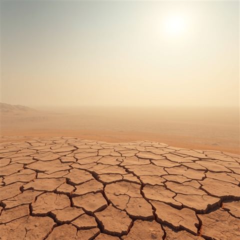 Soft 3D render of Cracked, dry earth in a barren desert landscape under a harsh sunny sky, high-angle view from above, misty morning haze, dreamy, 1:1 aspect ratio