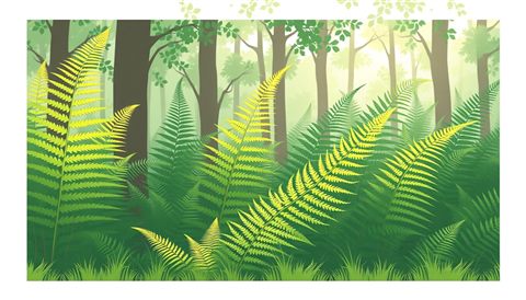 Minimal flat illustration of Lush green fern fronds unfurling in a serene forest, highlighted by soft morning sunlight., wide shot with open space at the top for text, soft pastel colors, bright and cozy, 16:9 aspect ratio