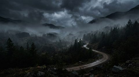 Photorealistic photo of foggy landscape, wide shot with open space at the top for text, moody dark tones, dramatic lighting, 16:9 aspect ratio