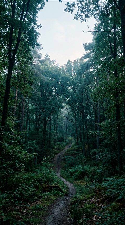 Cinematic film still of dense green forest, wide shot with open space at the top for text, cool blue tones, quiet atmosphere, 9:16 aspect ratio