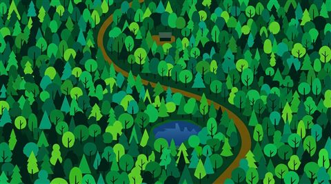 Minimal flat illustration of dense green forest, high-angle view from above, vivid colors, high contrast, energetic, 16:9 aspect ratio