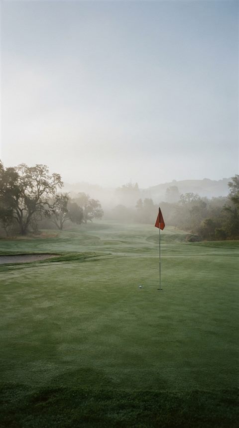 Cinematic film still of a golf course green with a flag, wide shot with open space at the top for text, misty morning haze, dreamy, 9:16 aspect ratio