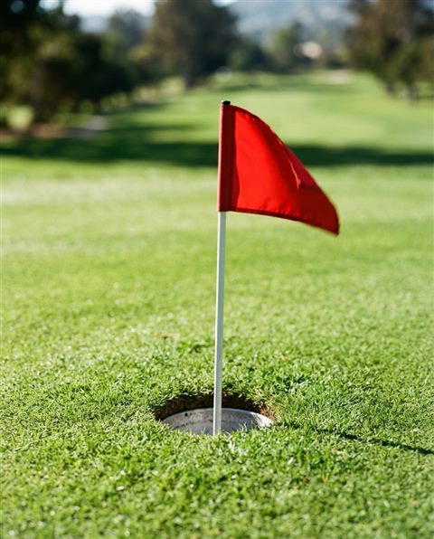 Cinematic film still of a golf course green with a flag, close-up detail with shallow depth of field, vivid colors, high contrast, energetic, 4:5 aspect ratio