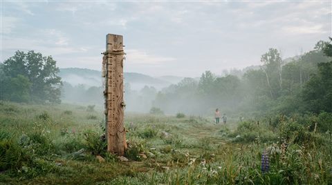 Photorealistic photo of abstract growth chart, wide shot with open space at the top for text, misty morning haze, dreamy, 16:9 aspect ratio
