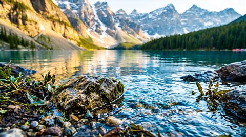 Photorealistic photo of ultra detailed majestic mountain lake landscape, close-up detail with shallow depth of field, vivid colors, high contrast, energetic, 16:9 aspect ratio