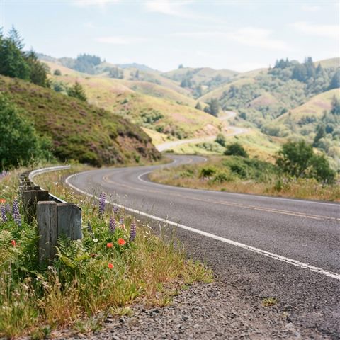 Photorealistic photo of a highway winding through hills, close-up detail with shallow depth of field, soft pastel colors, bright and cozy, 1:1 aspect ratio