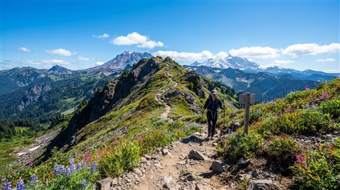 Photorealistic photo of hiking trail, wide shot with open space at the top for text, vivid colors, high contrast, energetic, 16:9 aspect ratio
