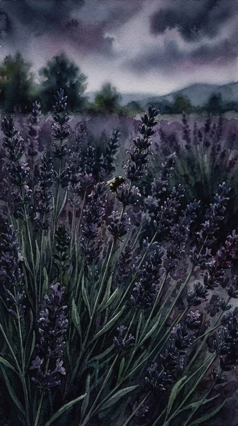 Watercolor illustration of lavender field, close-up detail with shallow depth of field, moody dark tones, dramatic lighting, 9:16 aspect ratio