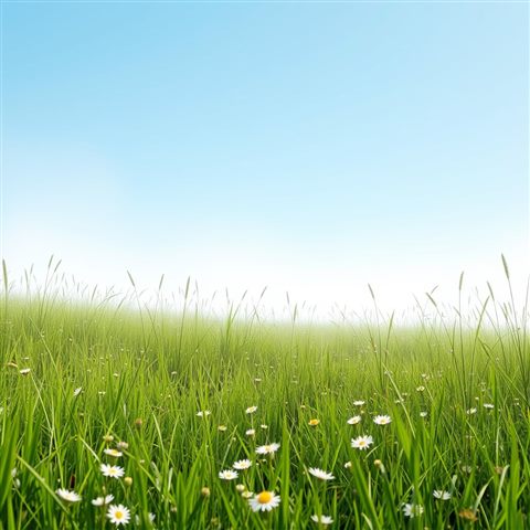 Soft 3D render of Vibrant green meadow filled with wild grass and small flowers under a bright blue sky, wide shot with open space at the top for text, misty morning haze, dreamy, 1:1 aspect ratio