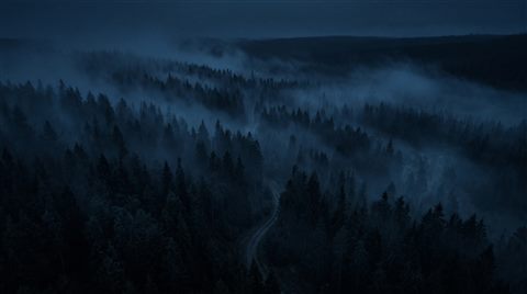 Cinematic film still of dark misty forest at night, high-angle view from above, cool blue tones, quiet atmosphere, 16:9 aspect ratio