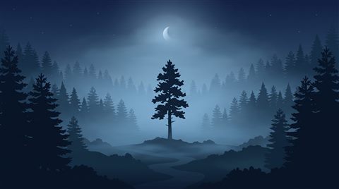 Minimal flat illustration of dark misty forest at night, centered subject with a simple uncluttered composition, cool blue tones, quiet atmosphere, 16:9 aspect ratio