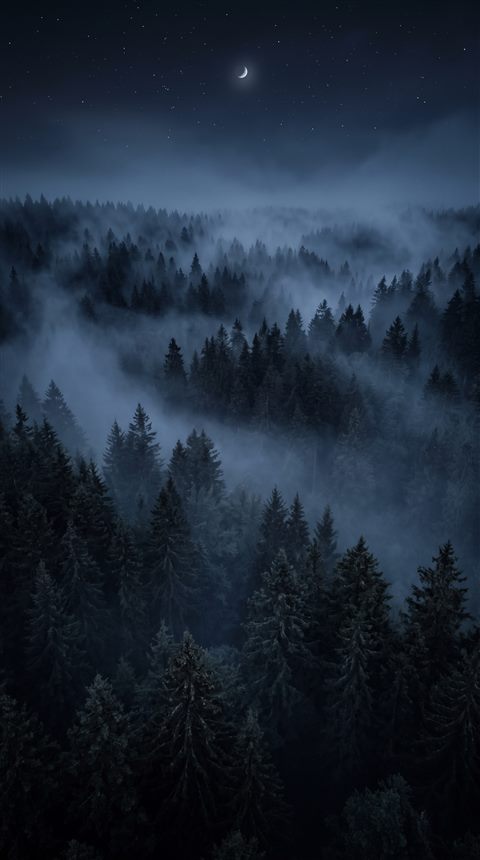 Photorealistic photo of dark misty forest at night, high-angle view from above, misty morning haze, dreamy, 9:16 aspect ratio