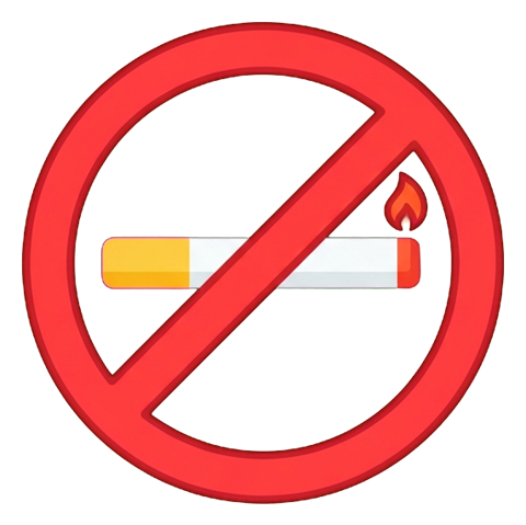 Flat color pictogram, friendly bright colors of a no smoking pictogram with a cigarette inside a red prohibition circle with a slash, transparent background PNG