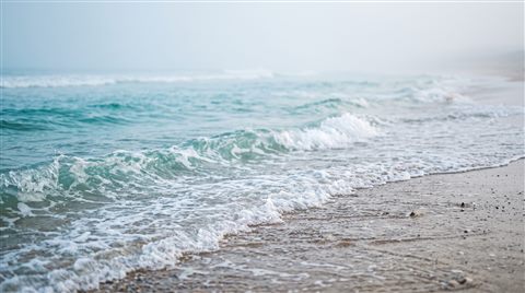 Photorealistic photo of calm turquoise ocean with gentle waves, close-up detail with shallow depth of field, misty morning haze, dreamy, 16:9 aspect ratio