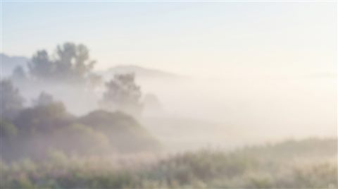 Soft photorealistic background photo of clean abstract background with soft shapes and a large empty area for text, simple balanced layout, misty morning haze, dreamy, 16:9 aspect ratio