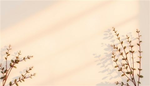 Photorealistic photo of A minimalist aesthetic background with soft watercolor gradients and delicate botanical shadows., high-angle view from above, warm golden light, calm mood, 16:9 aspect ratio