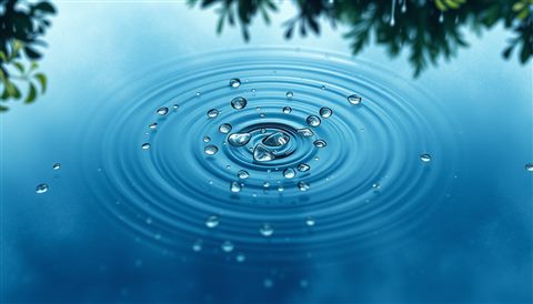 Watercolor illustration of Raindrops creating ripples on a calm puddle with blurred green foliage in the background., high-angle view from above, cool blue tones, quiet atmosphere, 16:9 aspect ratio