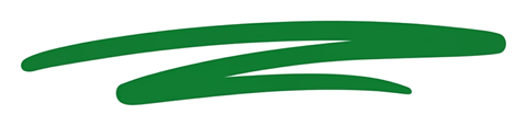 Bold flat vector style of a hand-drawn green underline stroke, transparent background PNG