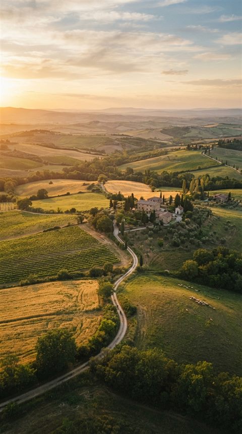 Cinematic film still of peaceful countryside scenery with rolling hills, high-angle view from above, warm golden light, calm mood, 9:16 aspect ratio