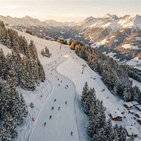 Photorealistic photo of a snowy ski slope, high-angle view from above, warm golden light, calm mood, 1:1 aspect ratio