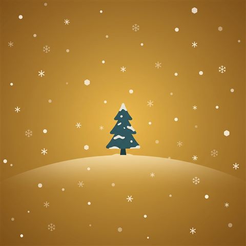 Minimal flat illustration of falling snowflakes, centered subject with a simple uncluttered composition, warm golden light, calm mood, 1:1 aspect ratio